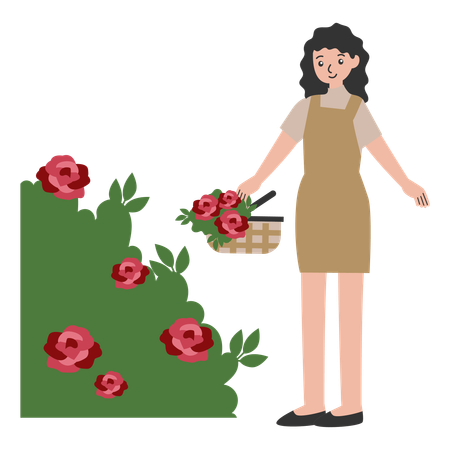 Woman standing at flower garden with flowers basket  Illustration