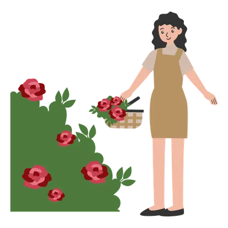 Woman standing at flower garden with flowers basket  Illustration